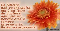 frasi e fiori frasi sui fiori frasi e fiori frasi sui fiori