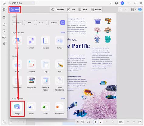 Image result for How to Convert PDF to Jpg Using Paint