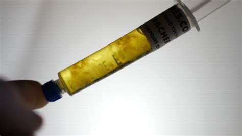 Golden Teacher Liquid Culture 10cc - Thick Spores