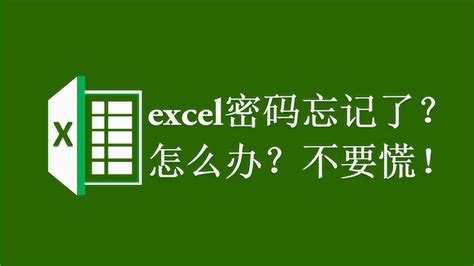 Excel密码破解绿色版|Exce密码移除软件 V1.0 免费版下载_当下软件园