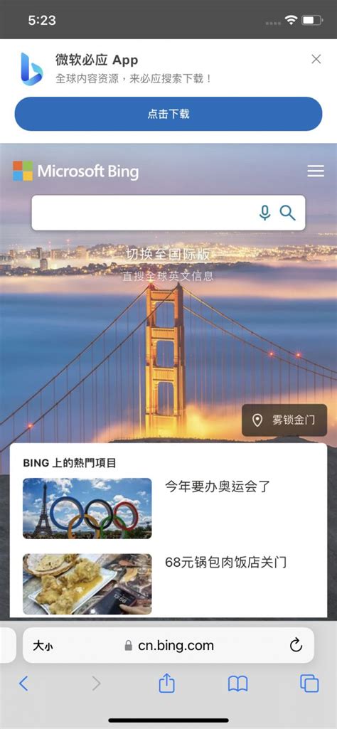 Bing国际版 的图像结果