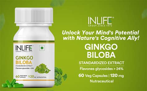 Buy INLIFE Ginkgo Biloba Extract Capsules 120mg | Herbal Supplement ...