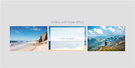 Image result for Image Gallery HTML/CSS Code