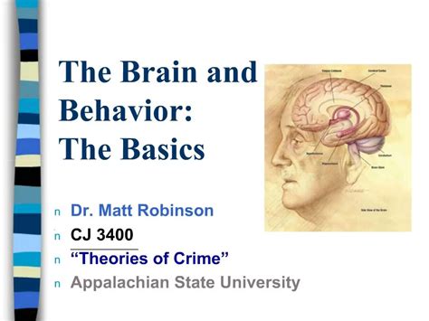 Brain and Behavior 的图像结果