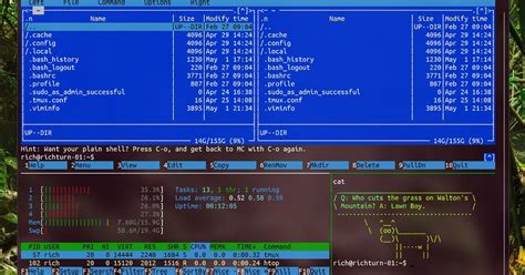Microsoft Command Line 的图像结果