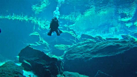 Tauchen in Mexiko - Die besten Tauchgebiete