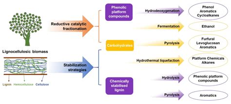 Lignin-First Biorefinery for Converting Lignocellulosic Biomass into ...