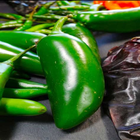How Hot Are Jalapeño Peppers: 9 Types - Butter N Thyme