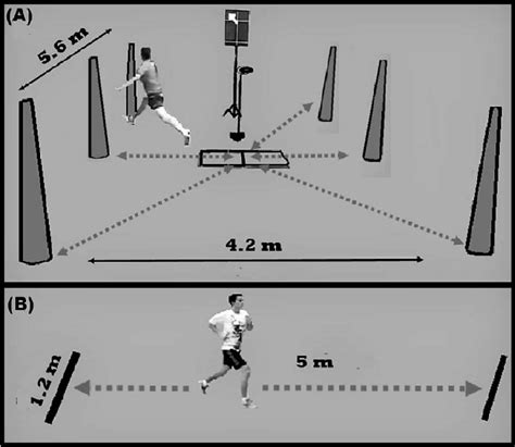 Image result for NBA Reactive Shuttle Test