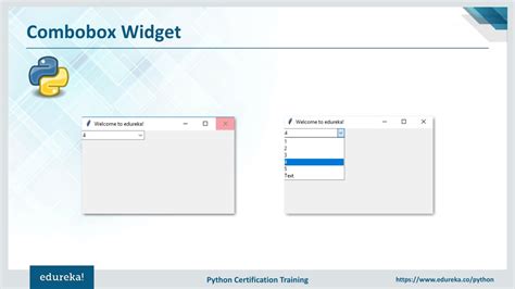 Python Tkinter ComboBox 的图像结果