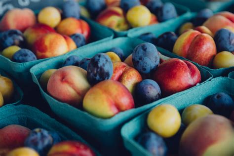 Organic Farmers Market 的图像结果