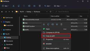 Image result for How to Copy Paste File Names into Excel