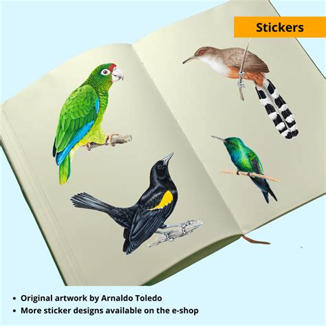 Seabirds – BirdsCaribbean