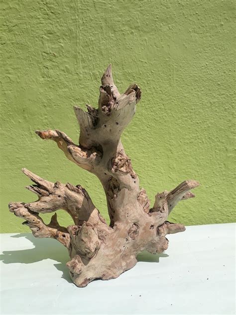 Driftwood for Aquarium Elite Sanded Completely (Rare Collection ...