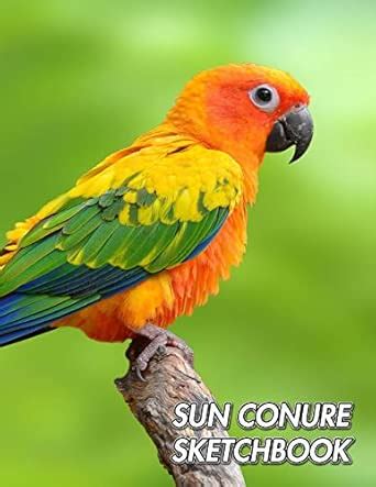 Buy Sun Conure Sketchbook: Sun Parakeet - Aratinga solstitialis ...