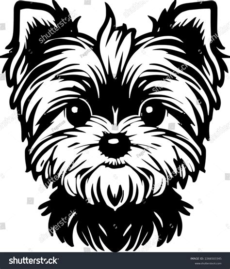 How To Draw A Realistic Yorkshire Terrier Step By Step