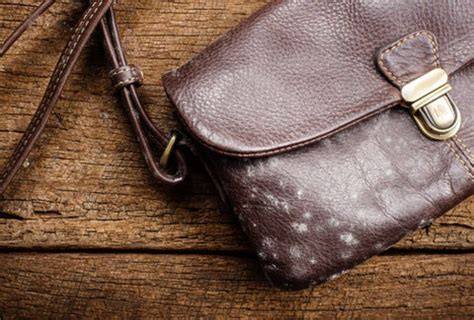 How to Clean Leather Bags at Home in Easy Steps – GlidingGear Company