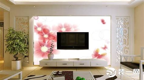 电视背景墙挂画，欧式电视背景墙壁纸图片，简约客厅电视墙设计图(9)_电视背景墙_