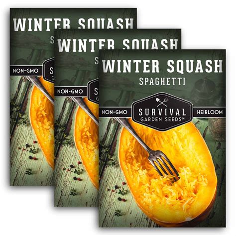 3 packs Spaghetti Squash Seed - Non-GMO Heirloom Full Sun Annual ...