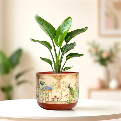 Buy Terracotta Pots Online | Durable, Eco-Friendly & Affordable | Urban ...