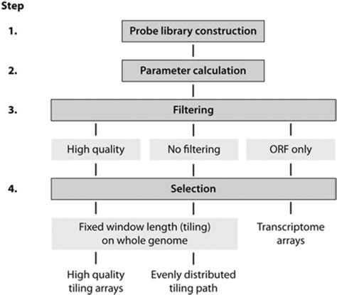 Probe Design 的图像结果