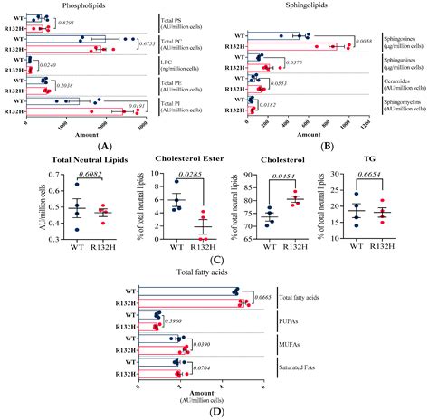 Stable Isotope Labeling Highlights Enhanced Fatty Acid and Lipid ...