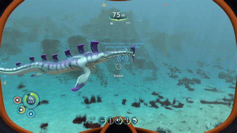 Subnautica Review: Should You Buy In 2024? – MFICS