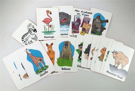 Barney Zoo Tiger 的图像结果