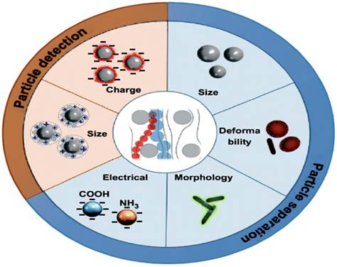 Application of Nanofluids in CO2 Absorption: A Review