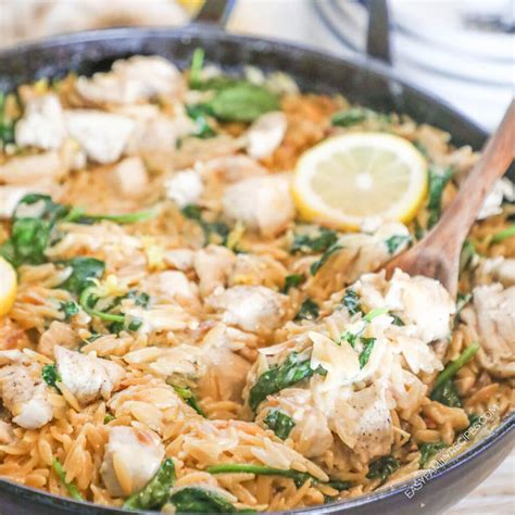 Creamy Lemon Orzo with Chicken · Easy Family Recipes