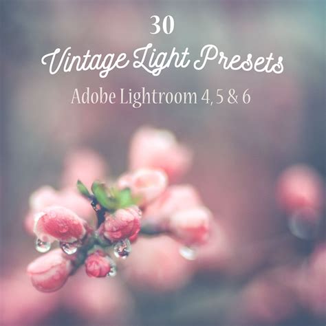 Pack 30 Lightroom Presets Vintage – MasterBundles