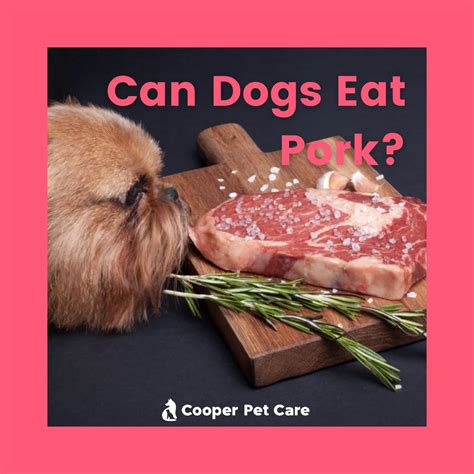 Can Dogs Eat Pork