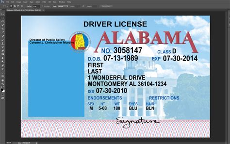 Image result for Alabama Drivers License
