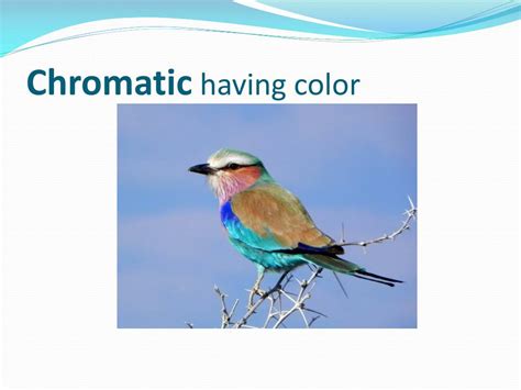 Image result for Intensity Color Wheel