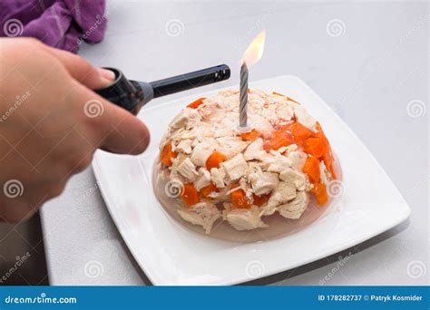 Meat and Jelly Cake for a Dog Birthday with a Candle Stock Image ...