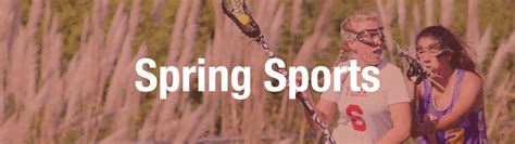 Spring Sports 的图像结果