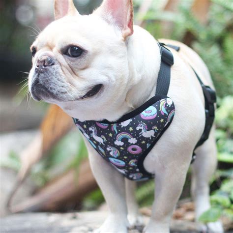 reversible dog harnesses for french bulldogs | patterned dog harness ...