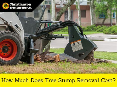 Tree Root Removal Cost 的图像结果