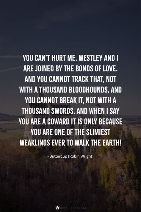 Image result for Princess Bride Battle of Wits Quotes