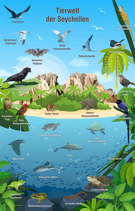 Tiere der Seychellen | Riesenschildkröten,Vögel,Unterwasserwelt ...