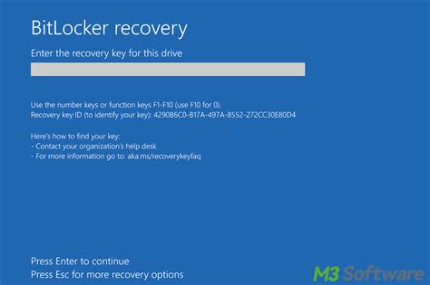 Image result for BitLocker Recovery Screen