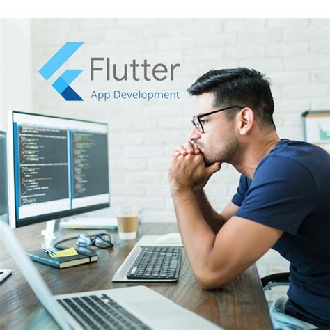 Flutter Dev 的图像结果