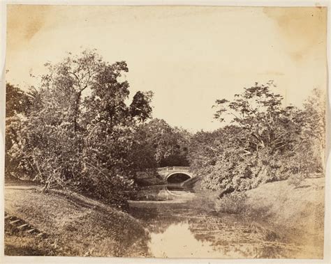 View of Indian Botanic Garden - Shibpur, Howrah near Calcutta (Kolkata ...