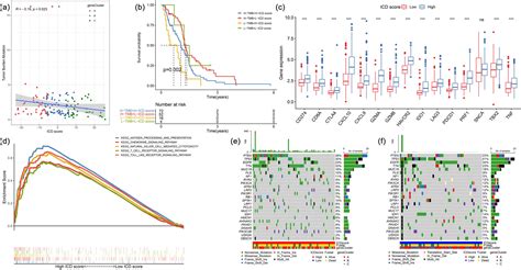 Genomic analysis of immunogenic cell death-related subtypes for ...
