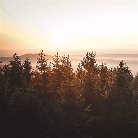 Kids's Long johns made from Wool (Organic) | LIVING CRAFTS