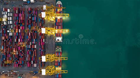 Import Export 的图像结果