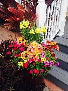 Container Gardening Plants by 12 Best Plants For Container Gardens The Budget Diet Container Gardening Plants
