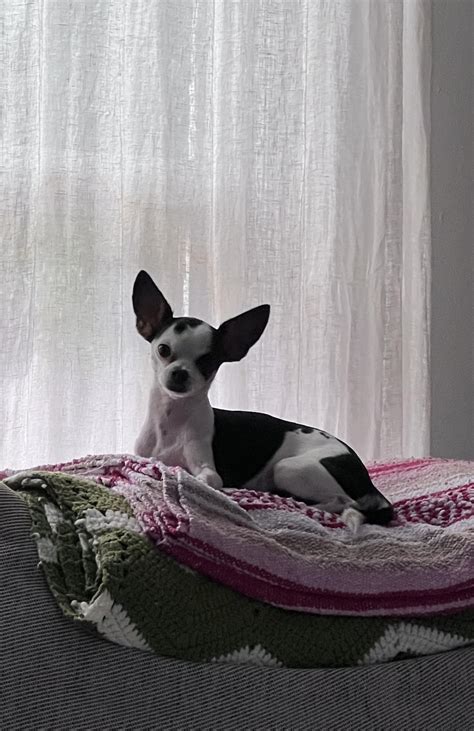 What do you call a male version of Karen? : r/EnglishLearning