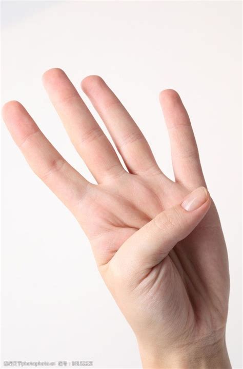 四根手指图片免费下载_四根手指素材_四根手指模板-图行天下素材网