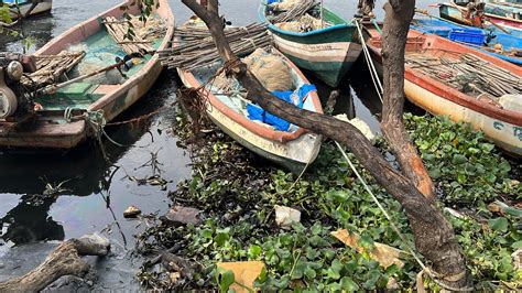 Chennai floods: Oil spill in Tamil Nadu's Buckingham Canal worsened by ...